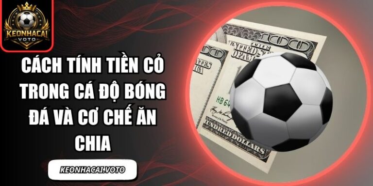 Cách Tính Tiền Cỏ Trong Cá Độ Bóng Đá Và Cơ Chế Ăn Chia 3 Cách tính tiền cỏ trong cá độ bóng đá