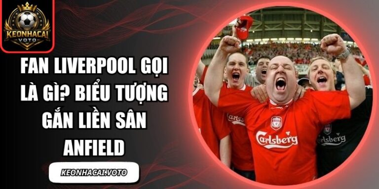 Fan Liverpool Gọi Là Gì? Biểu Tượng Gắn Liền Sân Anfield 6 Fan Liverpool gọi là gì