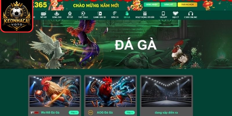 Đá gà online OK365 kịch tính