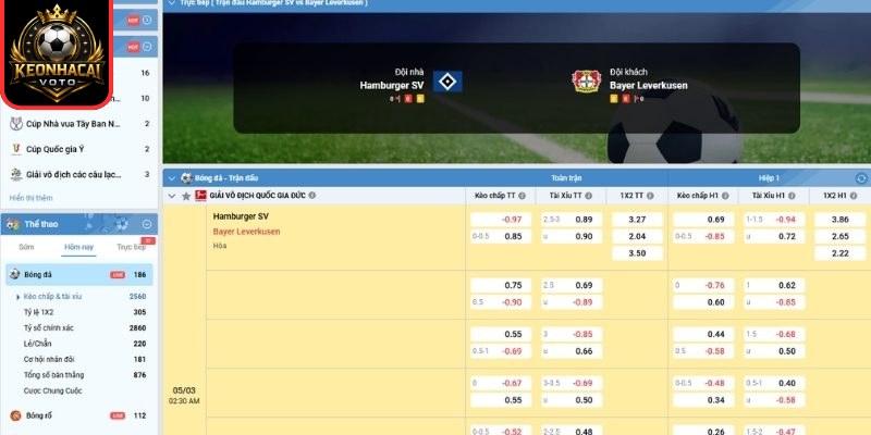 Soi kèo trận Hamburger SV vs Bayer Leverkusen (02:30 ngày 05/03| Bundesliga): Khách vượt trội đẳng cấp 2 Kèo tài xỉu trận Hamburger SV vs Bayer Leverkusen (02:30 ngày 05/03| Bundesliga)