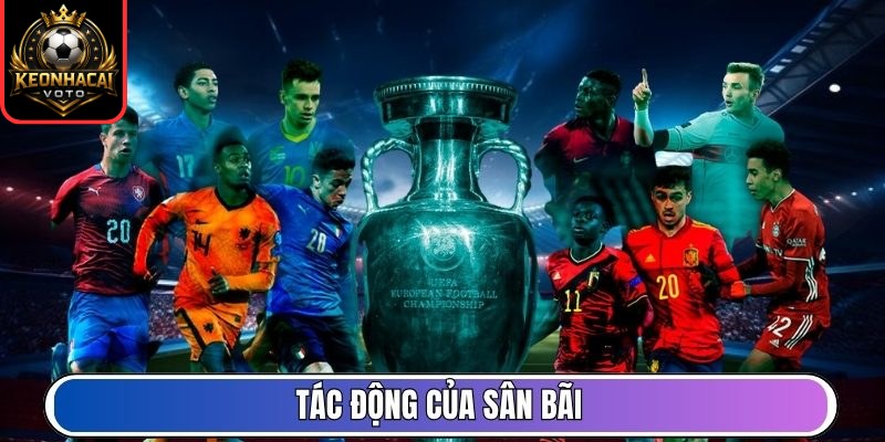 Tỷ Lệ Kèo 5 Tác động của sân bãi